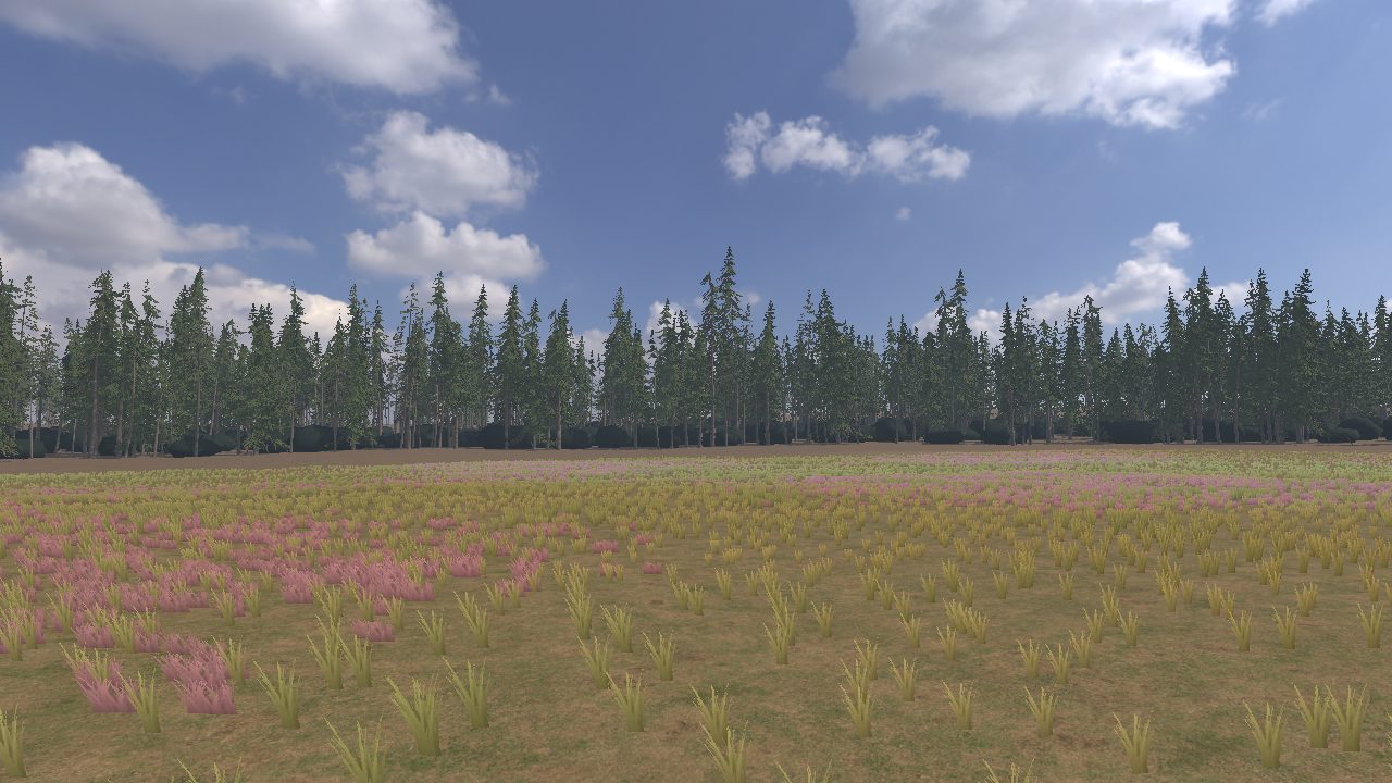 Waldrand mit Wiese im Simulator